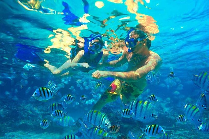Party Boat Catamaran with Snorkeling from Punta Cana - Crew and Music: Why the Day Feels Easy (When It Works)