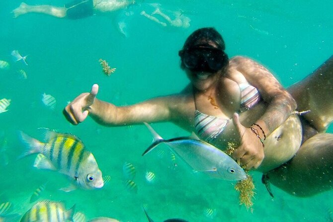 Party Boat - Private groups, snorkeling - Open Bar. - What’s included (and what isn’t): read this part like you mean it