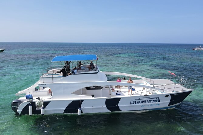 Party Boat - Private groups, snorkeling - Open Bar. - How to get the most out of it: small choices that pay off