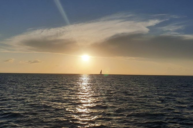 Private Luxury Catamaran - Saona or Catalina island - Las Palmillas and nearby stops: why the cruise format works