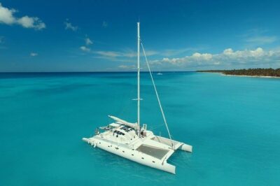 Private Luxury Catamaran - Saona or Catalina island - Saona Island time: beach vibes, starfish moments, and the one nature wildcard