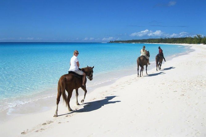 Private Macao Beach horseback riding in punta cana and Bayahibe - Key highlights that matter on the ground