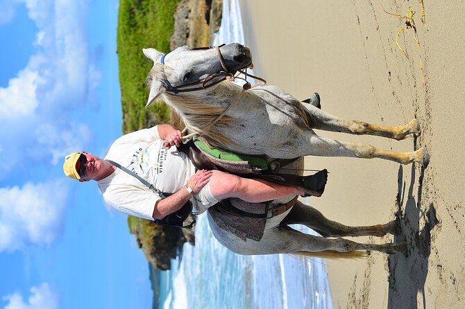 Private Macao Beach horseback riding in punta cana and Bayahibe - Wildlife, trash, mud, and bug factor: what to expect for real