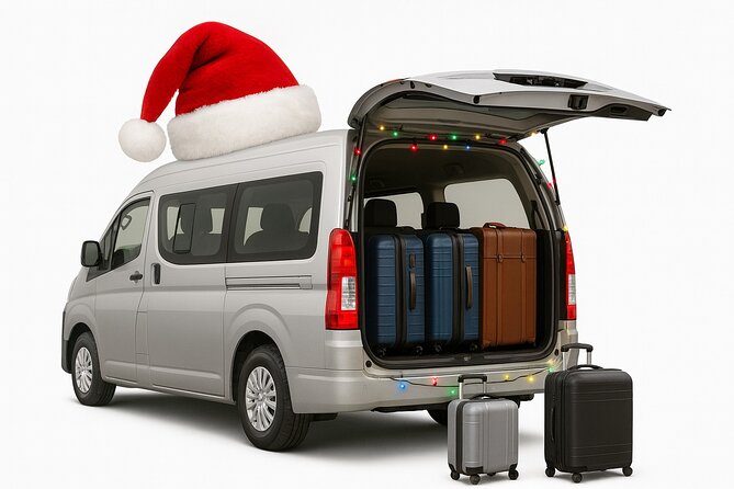 Private Punta Cana Airport Transfers Hotels in Dominican Republic - Getting Picked Up at PUJ Without Taxi-Line Stress