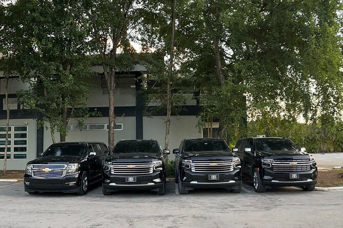 Private Punta Cana Airport Transfers Hotels in Dominican Republic - Finding Your Driver: Communication That Helps, Especially at Busy Times