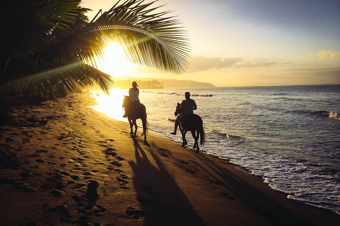 Private Sunset Horseback Riding in punta cana beach - Key things I’d note before you go