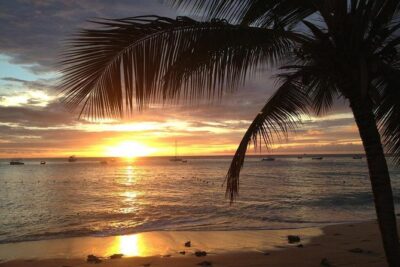 Private Sunset Horseback Riding in punta cana beach - The Ranch Meet-and-Greet: Gear Up, Meet the Horses, Learn the Rhythm