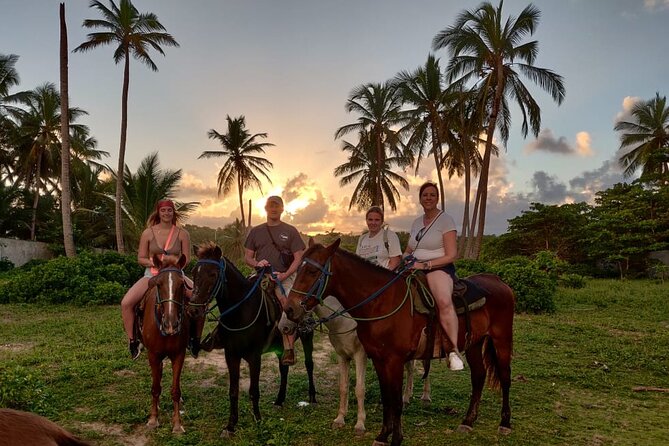Private Sunset Horseback Riding in punta cana beach - Timing, Language, and Safety Notes That Actually Matter
