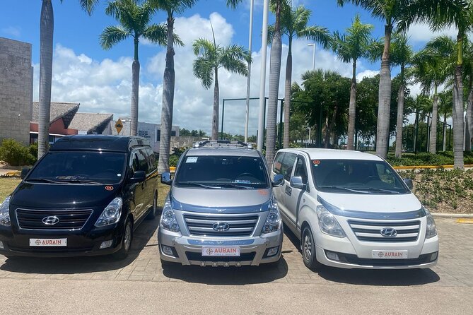 Private Transfers From Punta Cana To Bavaro - Who this transfer is best for (and who should think twice)
