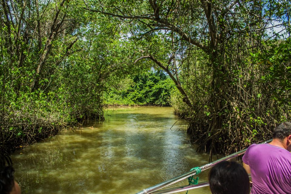 Punta Cana: 3-in-1 Adventure Haitises Park Waterfall Montaña - Lunch and drinks: included, but plan around what’s not