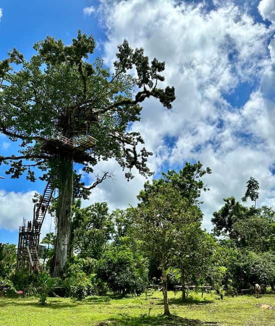 Punta Cana: 3-in-1 Adventure Haitises Park Waterfall Montaña - Who should book this Punta Cana 3-in-1 adventure