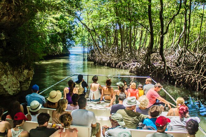 Punta Cana 3in1 Adventure: Los Haitises Park, Waterfall & Montaña - A 3-stop nature day: Redonda, Yanigua, and Los Haitises