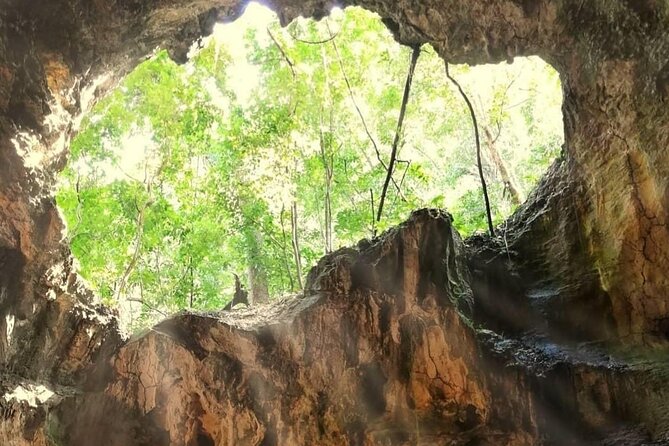 Punta Cana 3in1 Adventure: Los Haitises Park, Waterfall & Montaña - Los Haitises National Park: mangroves by boat and caves with Taino pictograms