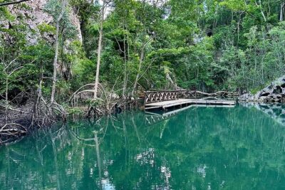 Punta Cana 3in1 Adventure: Los Haitises Park, Waterfall & Montaña - Montaña Redonda: 360° views and the giant swings