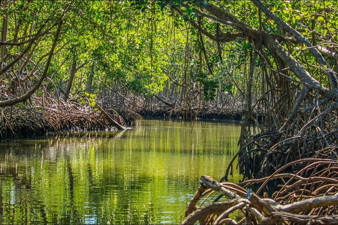Punta Cana 3in1 Adventure: Los Haitises Park, Waterfall & Montaña - Quick reality check: should you book this Punta Cana 3-in-1?