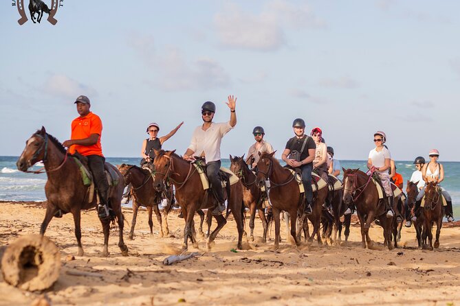 Punta Cana Beach Horseback Riding - Coconut Water and Small Activities That Stretch the Fun