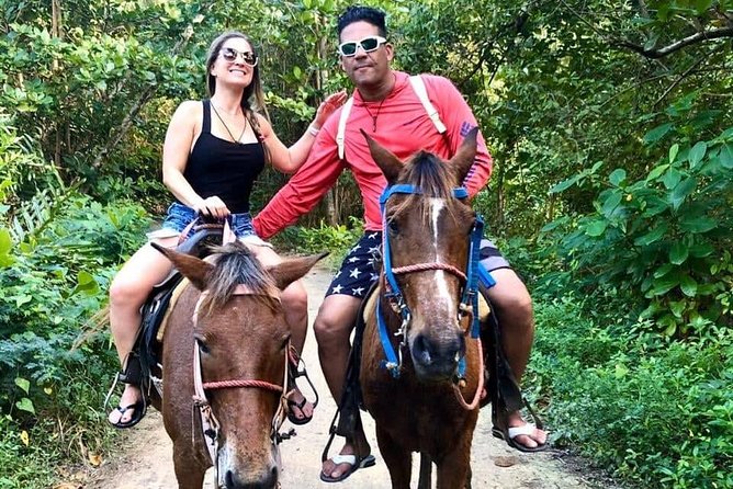 Punta Cana Beach Horseback Riding - Logistics That Affect Your Day: Pickup, Transfer, and Group Size