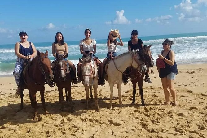 Punta Cana Beach Horseback Riding - Price Check: Is $58 Worth It for a Beach Horse Ride?