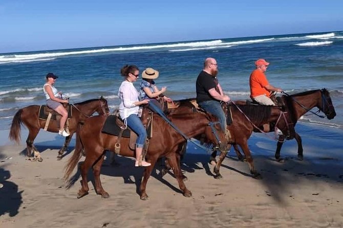 Punta Cana Beach Horseback Riding - Horses, Cleanliness, and What to Watch For