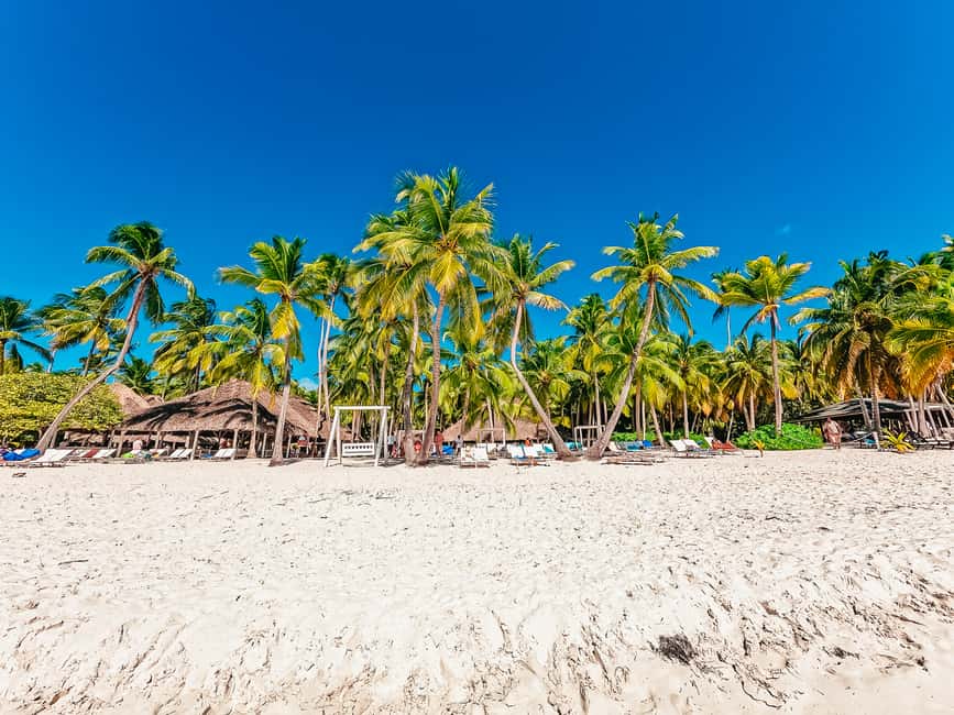Punta Cana: Catamaran Boat to Saona Island with Buffet Lunch - Who Should Book This Saona Tour (and Who Should Skip)