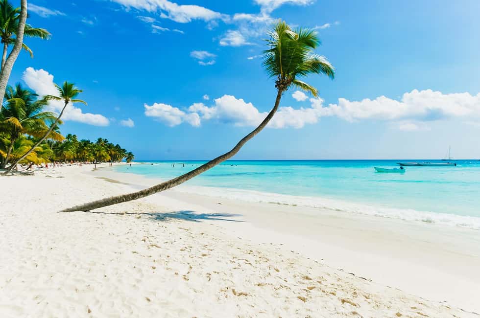 Punta Cana: Catamaran Boat to Saona Island with Buffet Lunch - Should You Book Punta Cana Catamaran to Saona for $82?