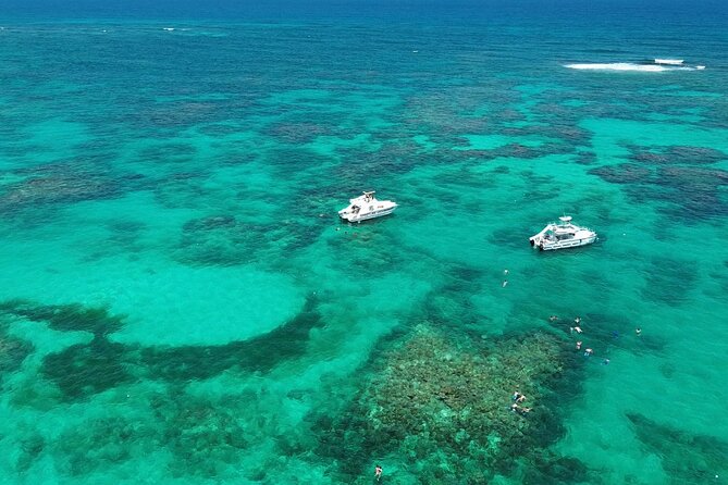 Punta Cana: Catamaran Tour, Reef Snorkeling and Unlimited Drinks! - Key highlights at a glance