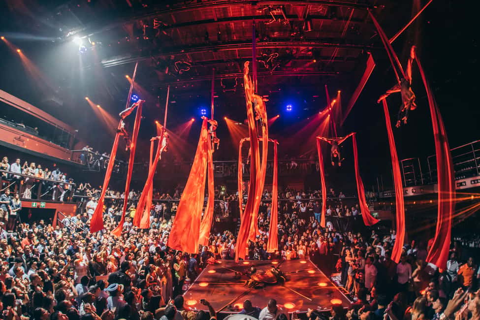 Punta Cana: Coco Bongo Nightclub Experience with Transfer - Doors Open at 8:00 PM, Show Starts at 9:00 PM: Timing Inside the Venue