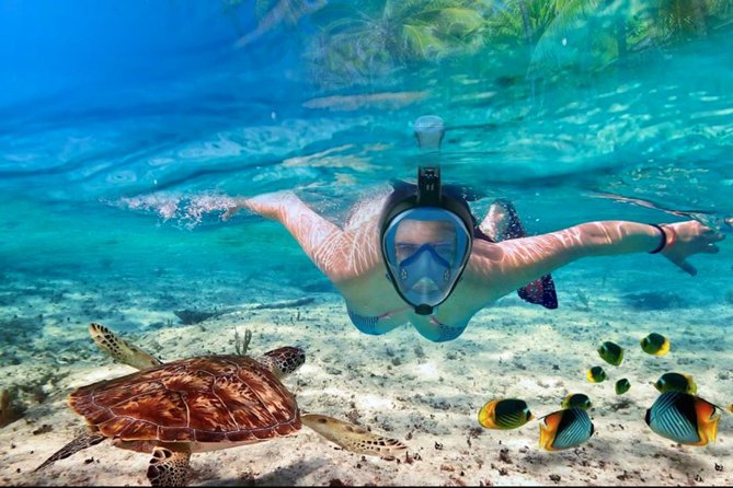 Punta Cana Combo Tour: Snorkeling, Catamaran Cruise & Parasailing - Who this tour fits best (and who should skip it)