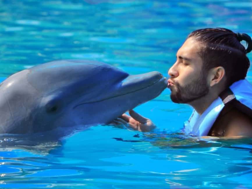 Punta Cana: Dolphin Explorer Park Entry, Swim, or Encounter - Dolphin Explorer Park Key Points