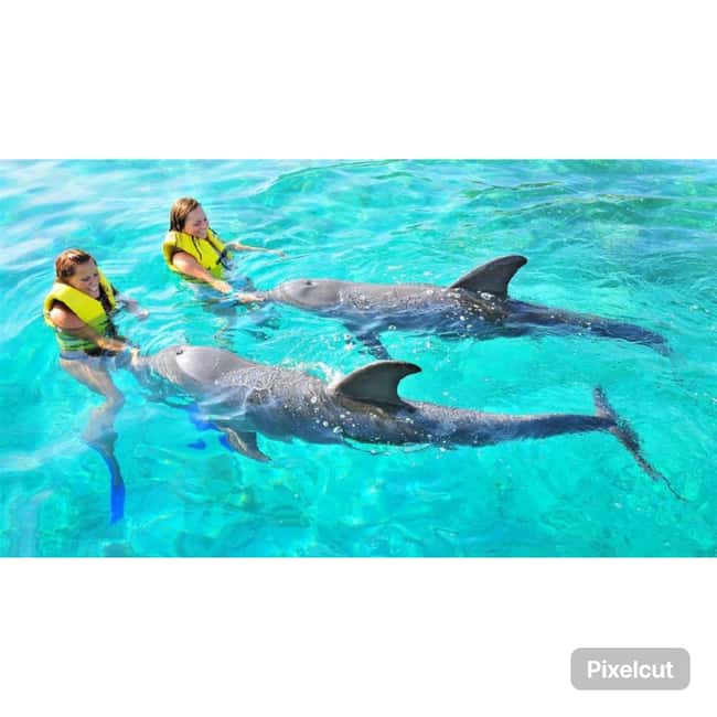 Punta Cana: Dolphin Explorer Park Entry, Swim, or Encounter - FAQ