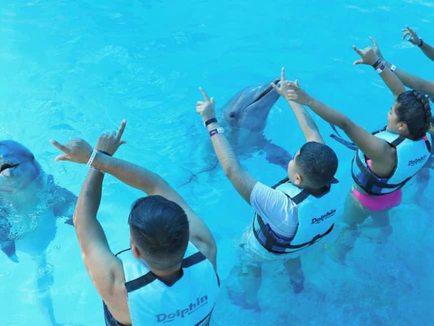Punta Cana: Dolphin Explorer Park Entry, Swim, or Encounter - Choosing Your Dolphin Program: Swim, Watch, or Hug-and-Handshake Time