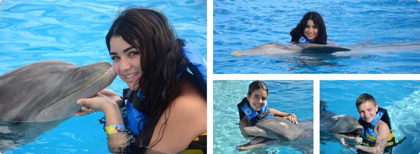 Punta Cana: Dolphin Explorer Park Entry, Swim, or Encounter - Sea Lion Show and Pirate Island: The Extra Time That Matters