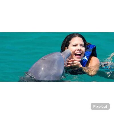 Punta Cana: Dolphin Explorer Park Entry, Swim, or Encounter - What Actually Happens During the Dolphin Session (Games, Acrobats, Optional Swimming)