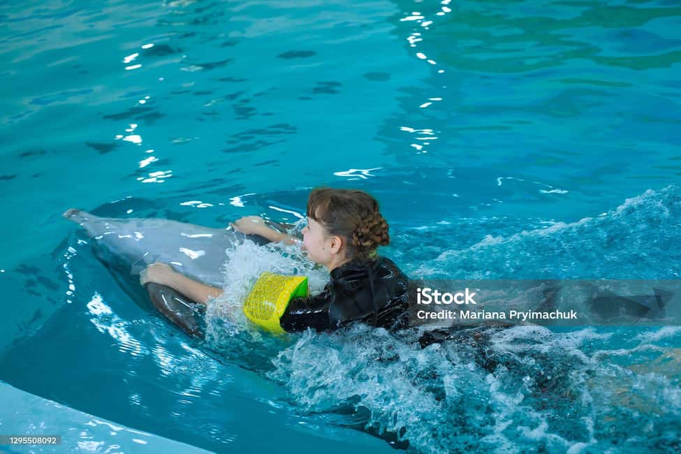 Punta Cana: Dolphin Explorer Park Entry, Swim, or Encounter - Price, Photo Upsells, and On-Site Upgrades: Getting Real Value