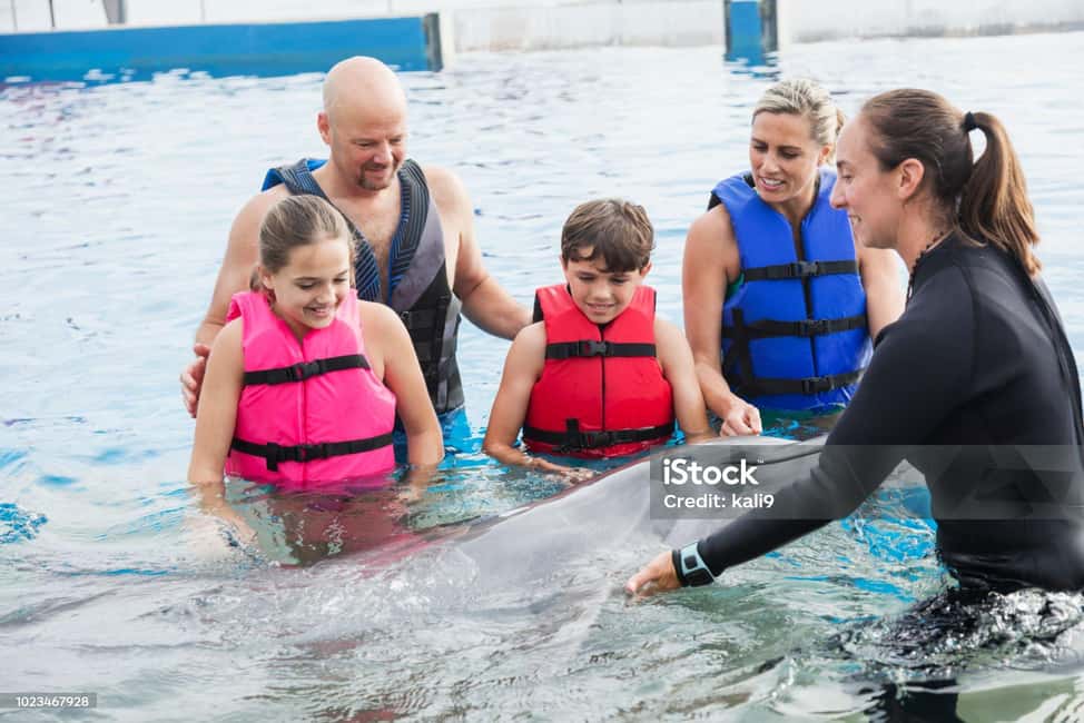 Punta Cana: Dolphin Explorer Park Entry, Swim, or Encounter - Practical Tips: What to Bring, How Long to Plan, and What to Expect