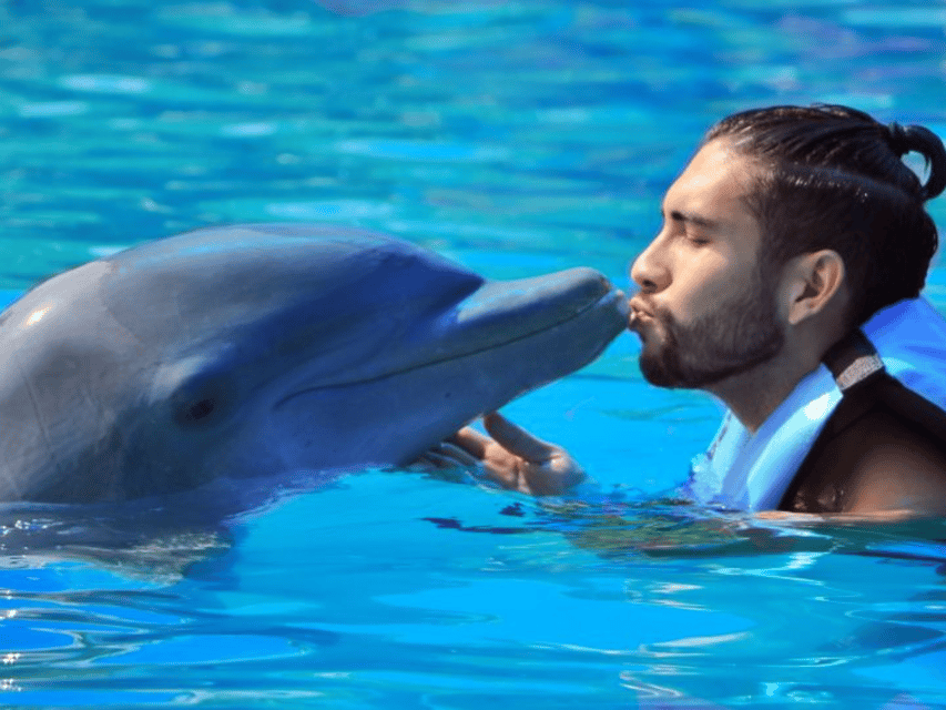 Punta Cana: Dolphin Explorer Park Entry, Swim, or Encounter - Who This Is For (and Who Might Skip It)