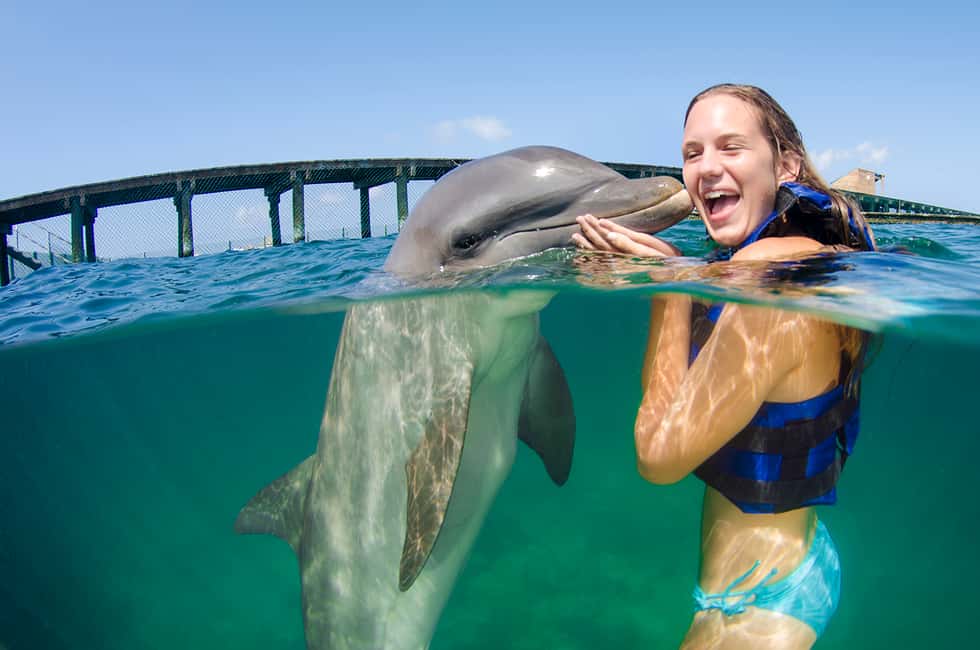 Punta Cana: Dolphin Explorer Swims and Interactions - Key Things To Know Before You Go