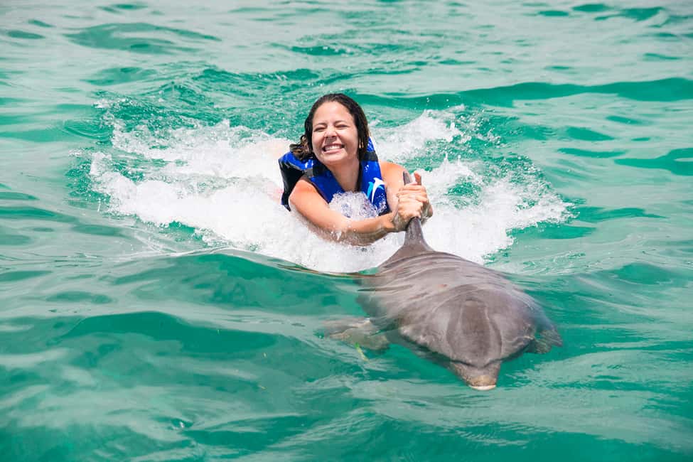 Punta Cana: Dolphin Explorer Swims and Interactions - Where This Fits Best in Your Punta Cana Trip