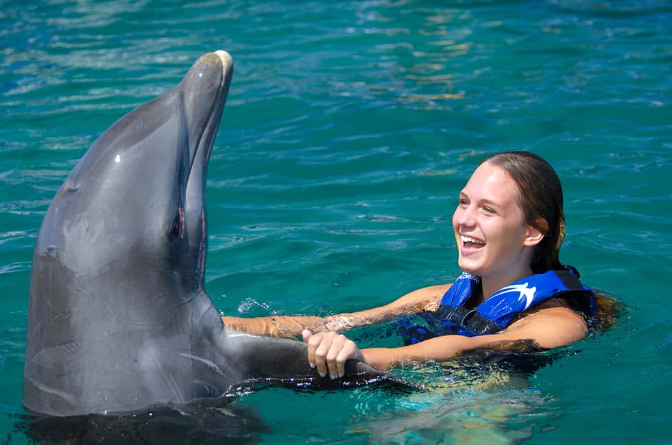 Punta Cana: Dolphin Explorer Swims and Interactions - The Conservation Lesson Isn’t Just a Poster