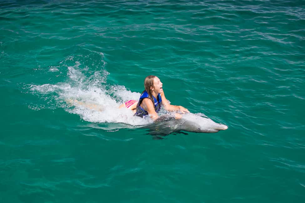 Punta Cana: Dolphin Explorer Swims and Interactions - Photo Packages and the Phone Ban (What to Budget)
