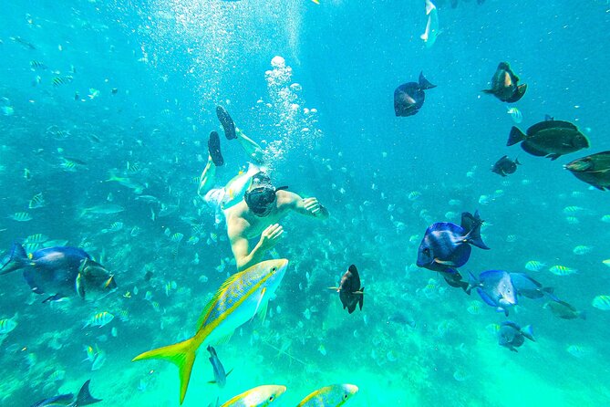 Punta Cana Exclusive Adults-Only Snorkel with Food and Drinks - Why This Adults-Only Snorkel in Cap Cana Feels Different