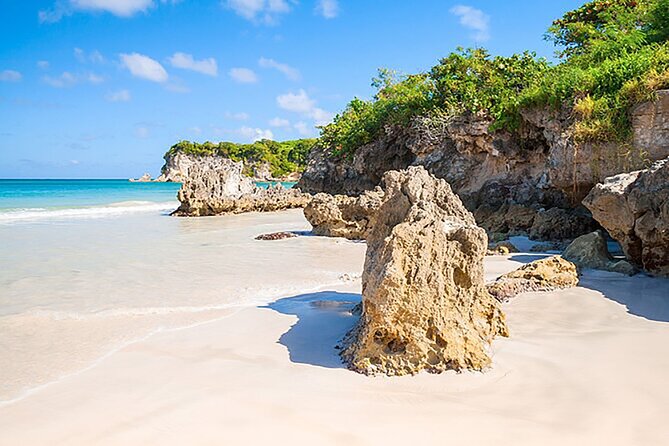 Punta Cana Half-Day Cultural Safari with Lunch and Drinks - Cigar Demonstration and a Typical Dominican House: Where the Culture Gets Hands-On