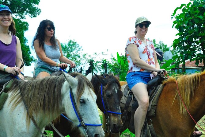 Punta Cana Half-Day Cultural Safari with Lunch and Drinks - Horse Riding at the Ranch: Fun, But Know the Timing