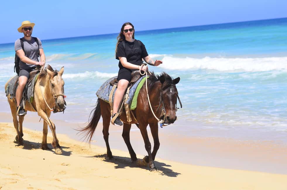 Punta Cana: Macao Beach & Forest Horseback Riding Tour - Key things to know before you go