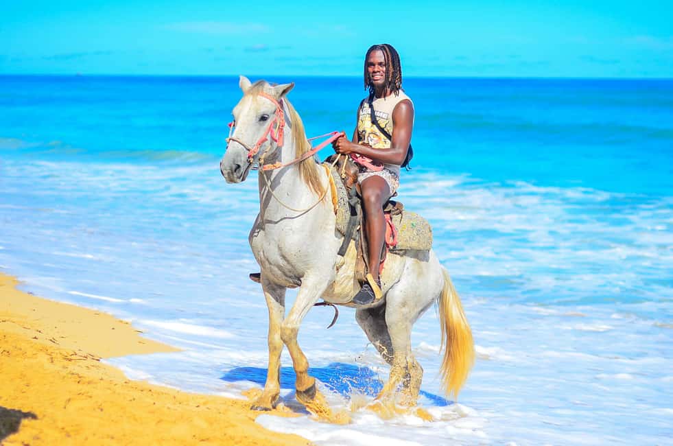 Punta Cana: Macao Beach & Forest Horseback Riding Tour - From saddle-up to first-time confidence