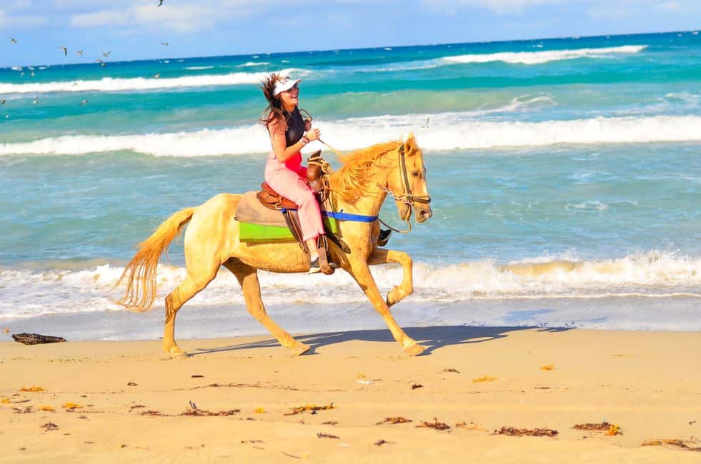 Punta Cana: Macao Beach & Forest Horseback Riding Tour - Río anamuya stop: where the tour adds a local-nature feel