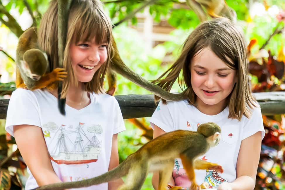 Punta Cana: Monkey Land Half-Day Safari and Plantation - Key things worth knowing before you go