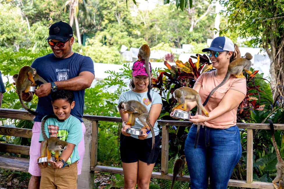 Punta Cana: Monkey Land Half-Day Safari and Plantation - Casa del Coco: A Typical Dominican House and Coconut Oil Lessons