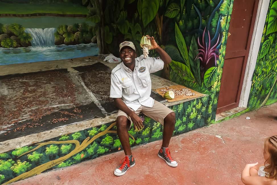 Punta Cana: Monkey Land Half-Day Safari and Plantation - Photo Strategy and Souvenir Shopping Without Getting Sold To