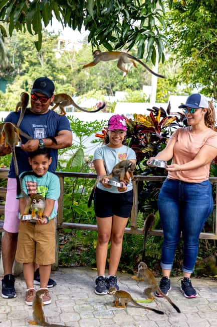 Punta Cana: Monkey Land Half-Day Safari and Plantation - Price and Timing: Is $95 a Good Value for This Half-Day?